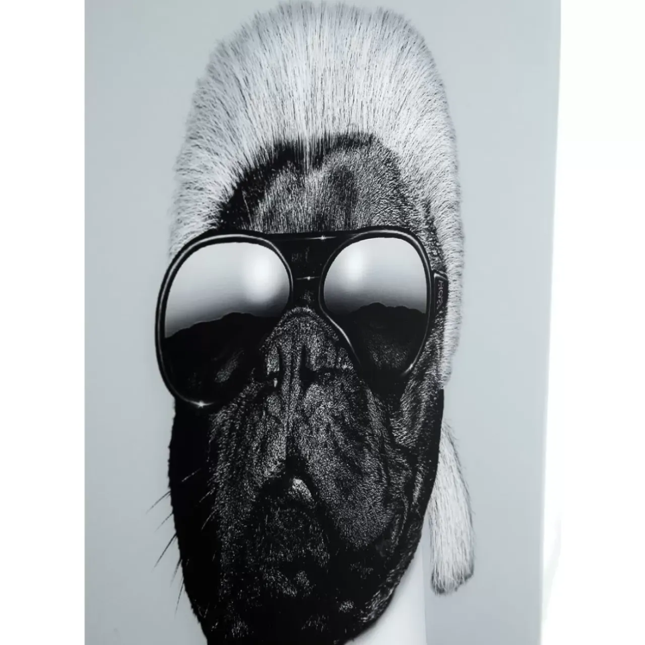 KARE Design Bilder-Bild Frame Mirror Designer Dog 60X60