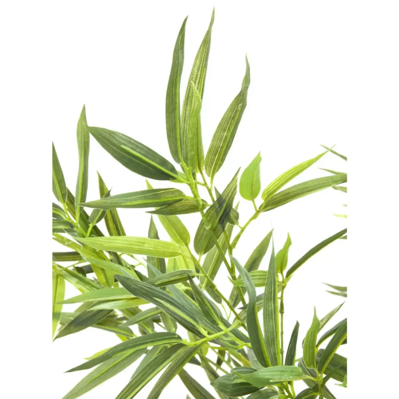KARE Design Deko & Geschenkartikel-Deko Pflanze Bamboo Tree 200Cm