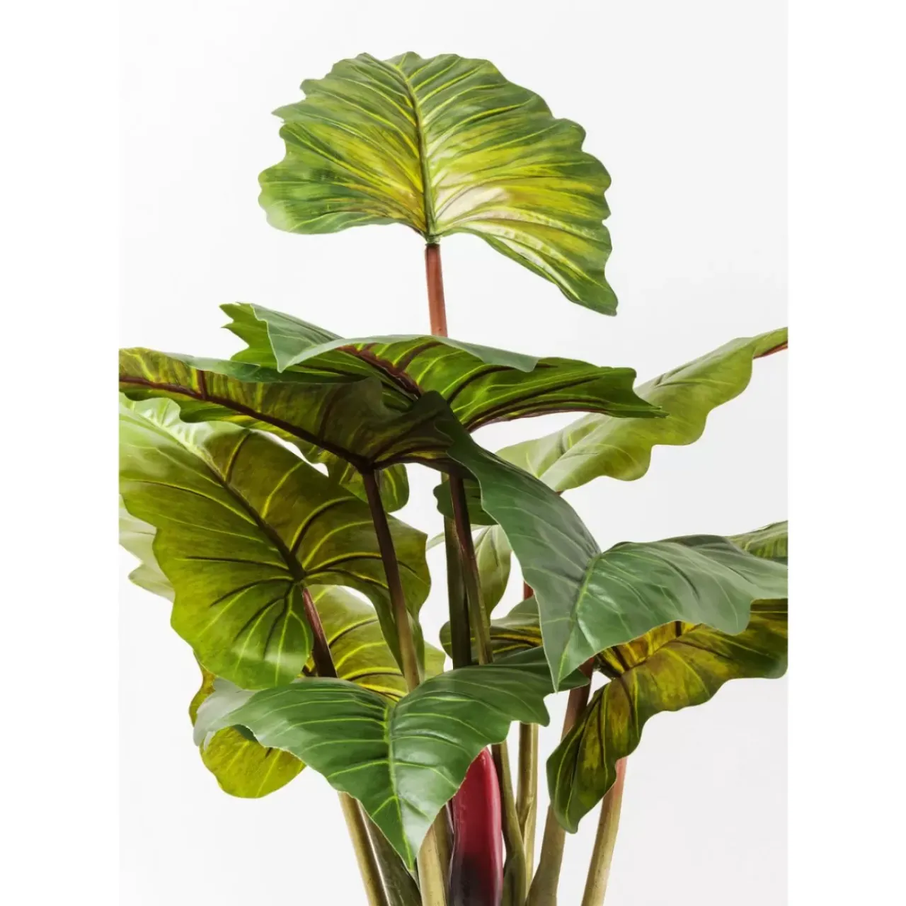 KARE Design Deko & Geschenkartikel-Deko Pflanze Rainforest Green 160Cm