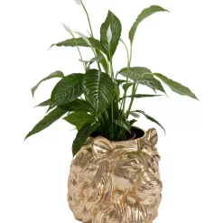 KARE Design Aufbewahrung & Ordnung-Deko Ubertopf Lion Gold