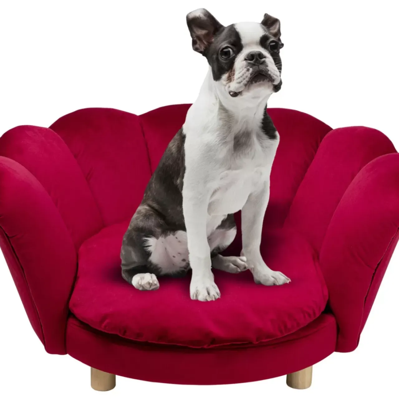 KARE Design Kleinmöbel & Sonstiges-Hund/Katzenbett Water Lily Rot