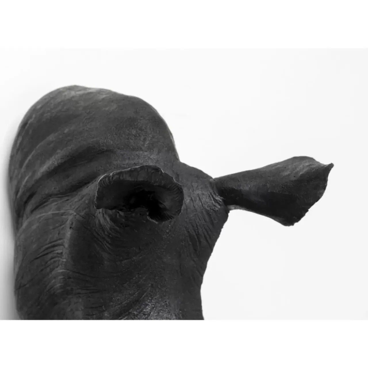 KARE Design Bilder-Wandobjekt Rhino Head Antique Schwarz